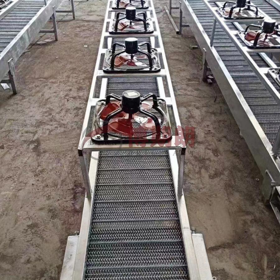 net conveyor 